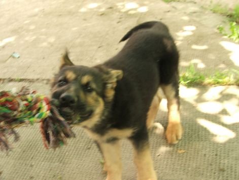 dscf2171.jpg
