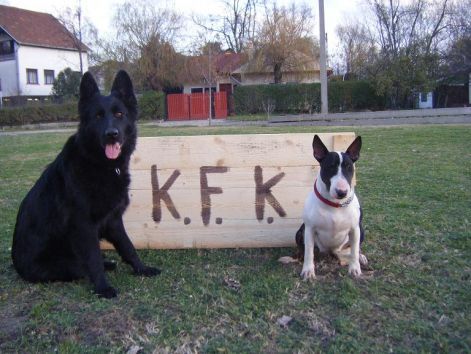 kfk2.jpg