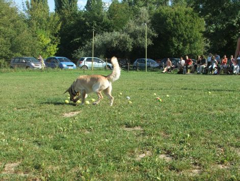 2009.aug.30_089.jpg