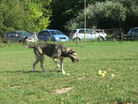 2009.aug.30_107.jpg